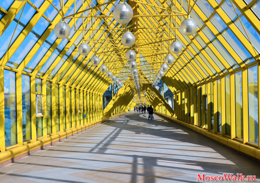 Пушкинский мост через Москва реку