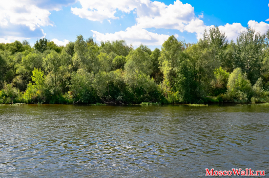 Прогулочная зона у Москва реки