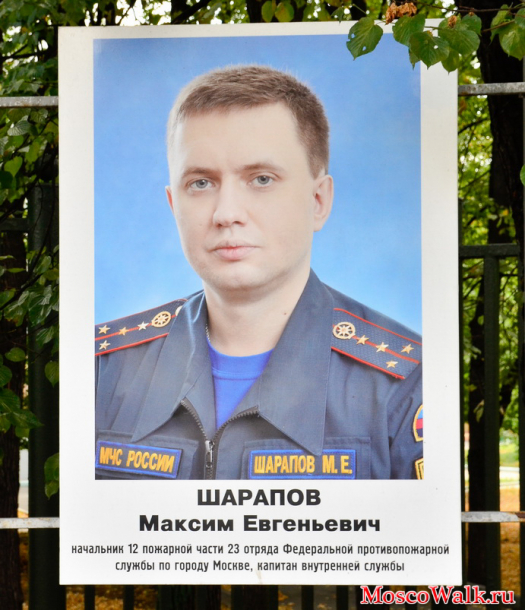 капитан внутренней службы Шарапов Максим Евгеньевич