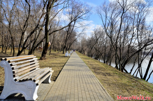 Москва река отдых на берегу реки