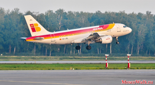 Iberia  в аэропорту Домодедово