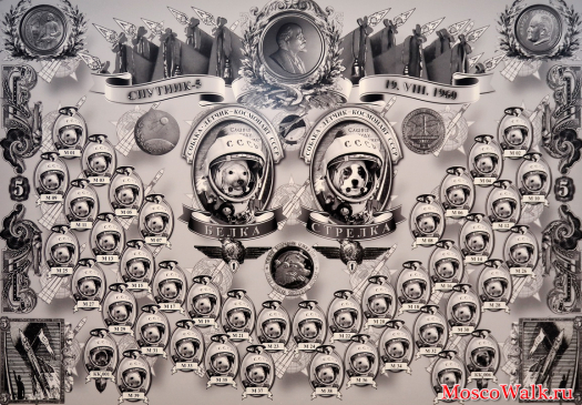 Участники полета. Спутник-5. 1960 год (Зоя Сокол)