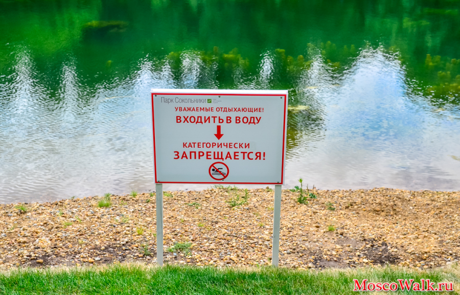 купаться в пруду запрещено
