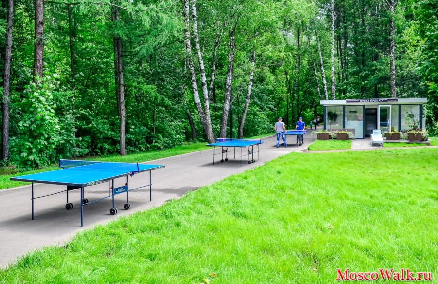 столы для пинг-понга в парке Сокольники