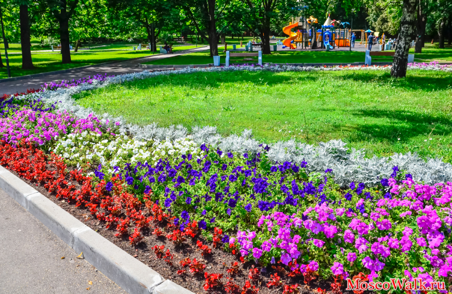 цветники в парке Бекет