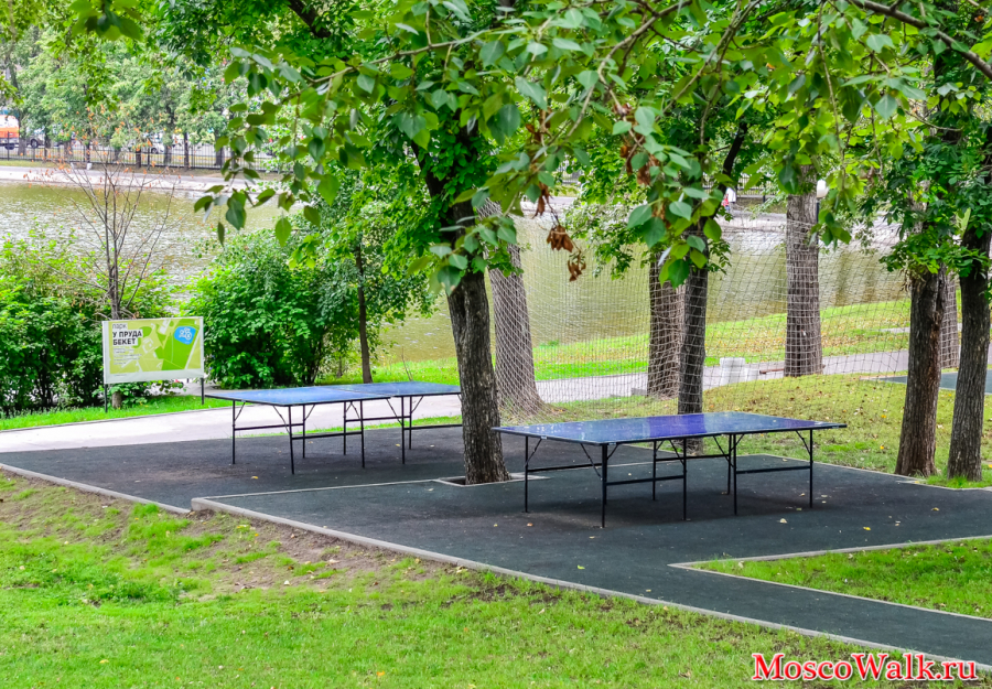 настольный теннис в парке