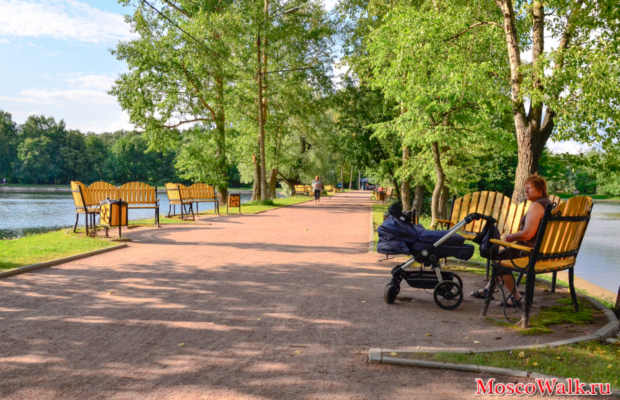 отдых с детьми в Терелецком парке