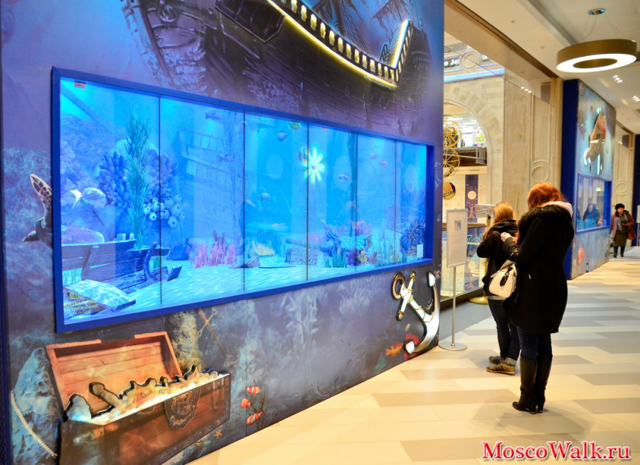 Аттракцион Интерактивный аквариум
