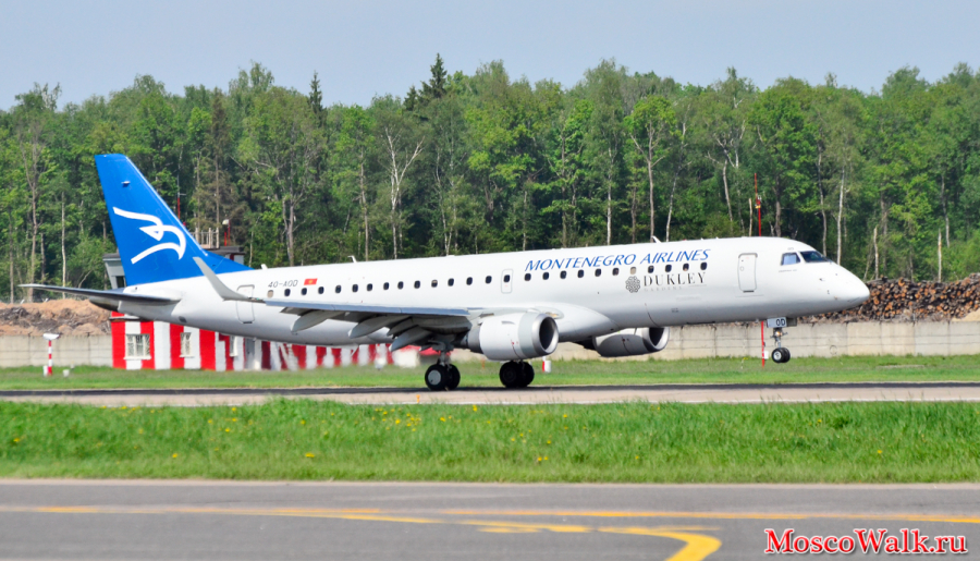 Montenegro Airlines в Домодедово