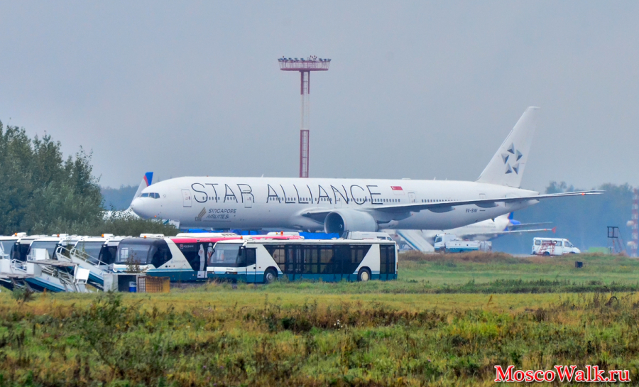 Singapore Airlines в ливрее Star Allians