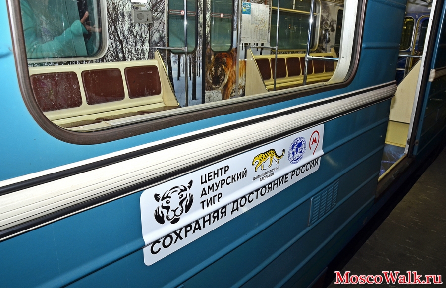 Сохраняя достояние России Центр Амурский тигр