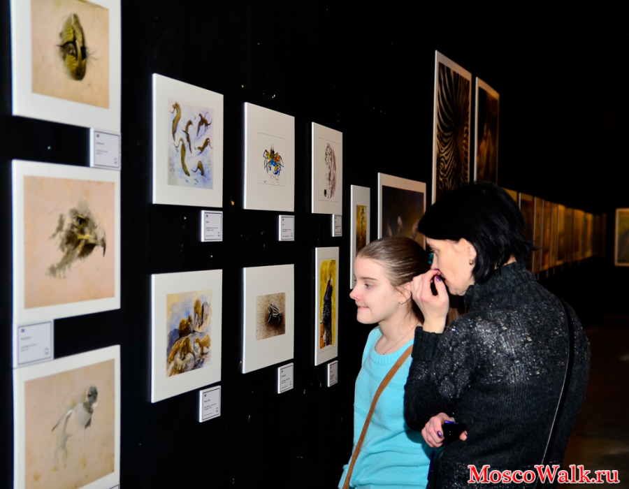 Фестиваль Золотая черепаха в Музее Москвы