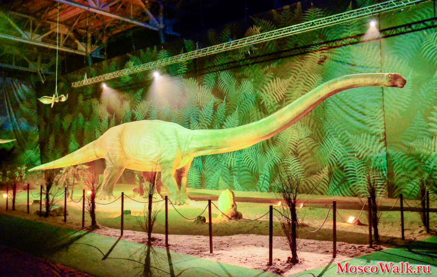 Научный проект Город Динозавров