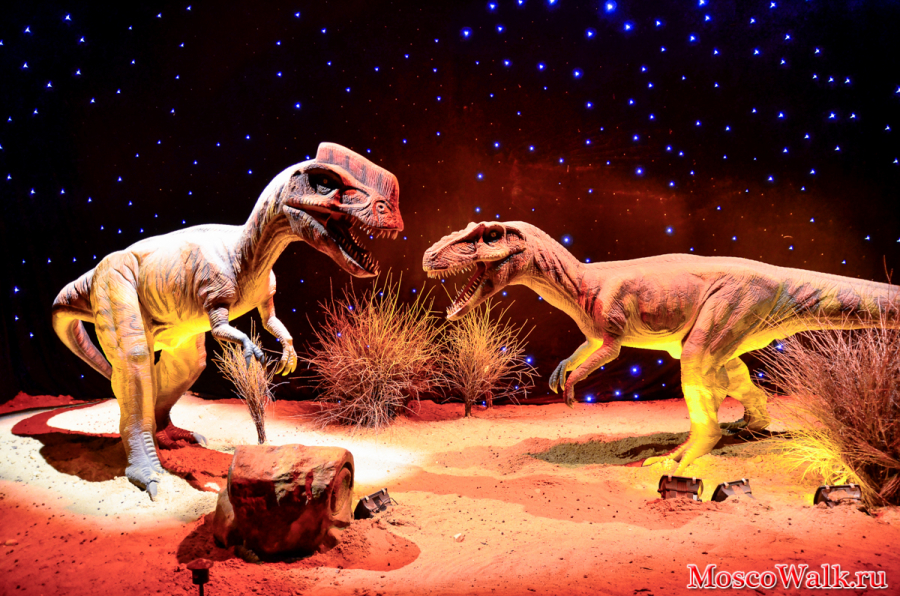 Выставка Динозавров в Москве