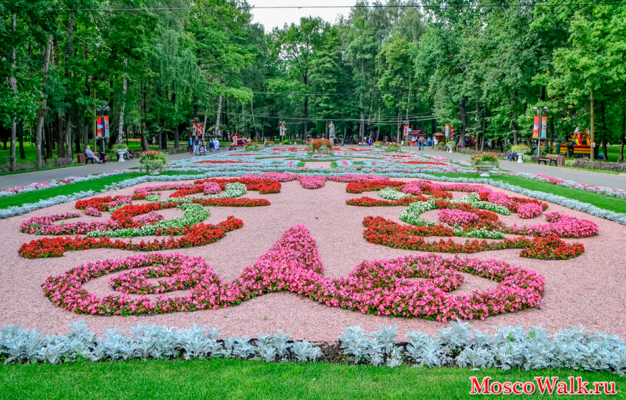 цветочная клумба в парке