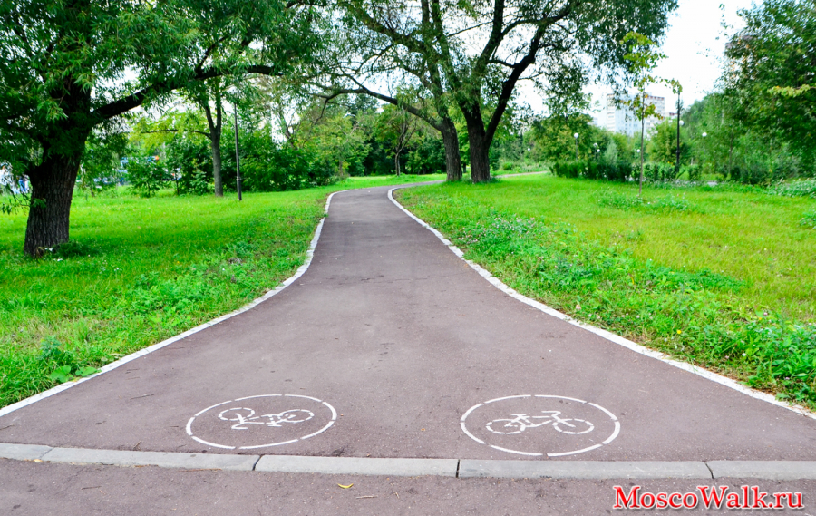 Велосипедная дорожка в парке Школьников
