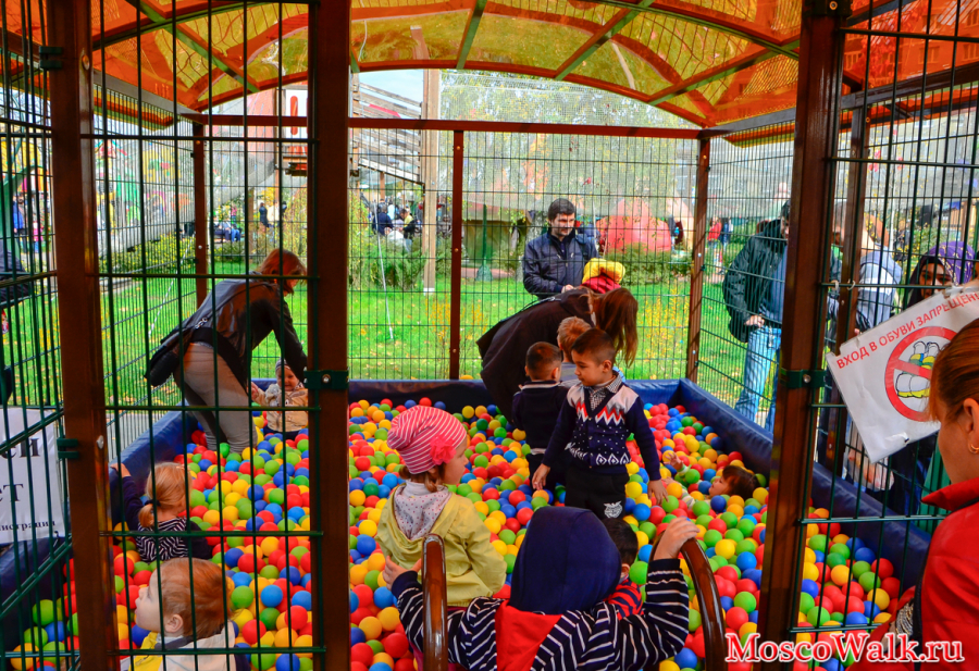 детские развлечения в парке Лукоморье
