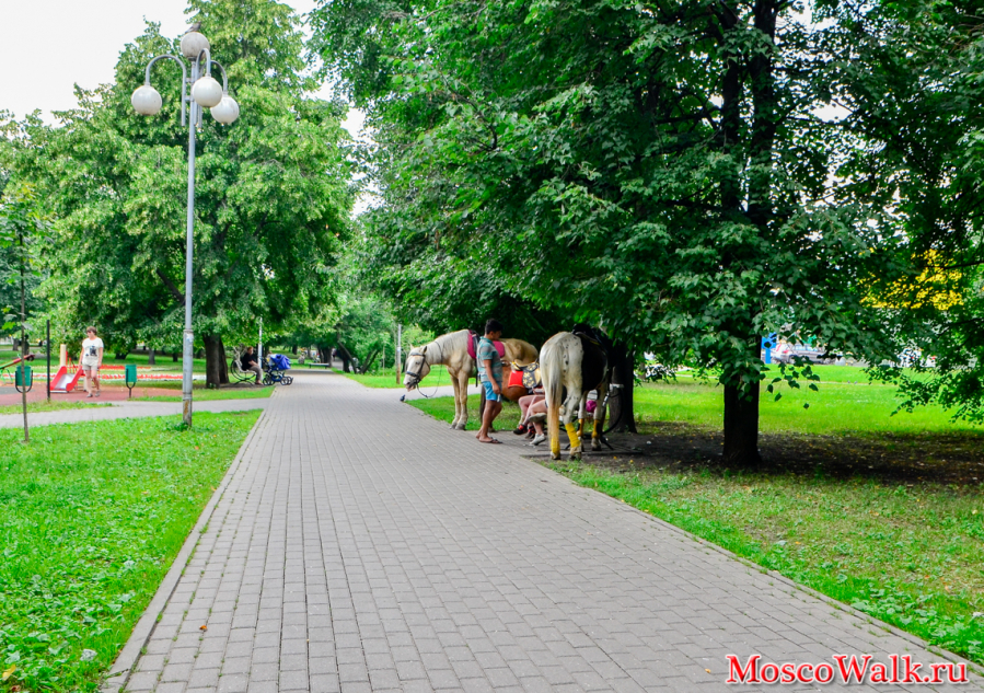 катание на лошадях улицы Медынского