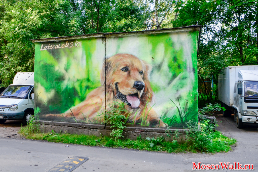 граффити собака