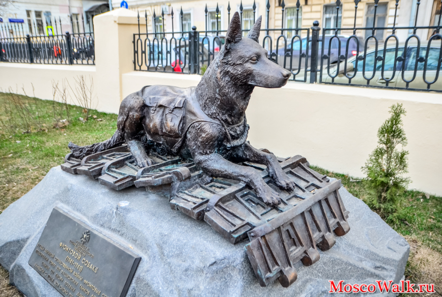 памятник фронтовой собаке