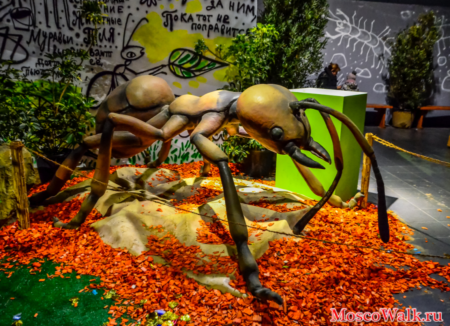 Выставка Гигантские насекомые в Московском зоопарке