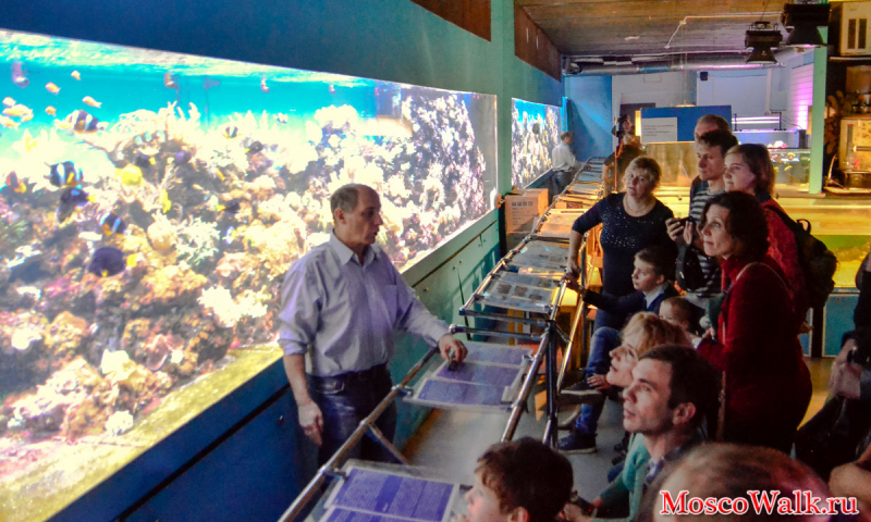 Экскурсия в морской аквариум на Чистых прудах