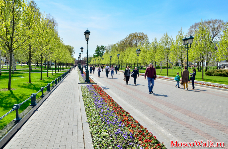 Прогулка по Александровскому саду
