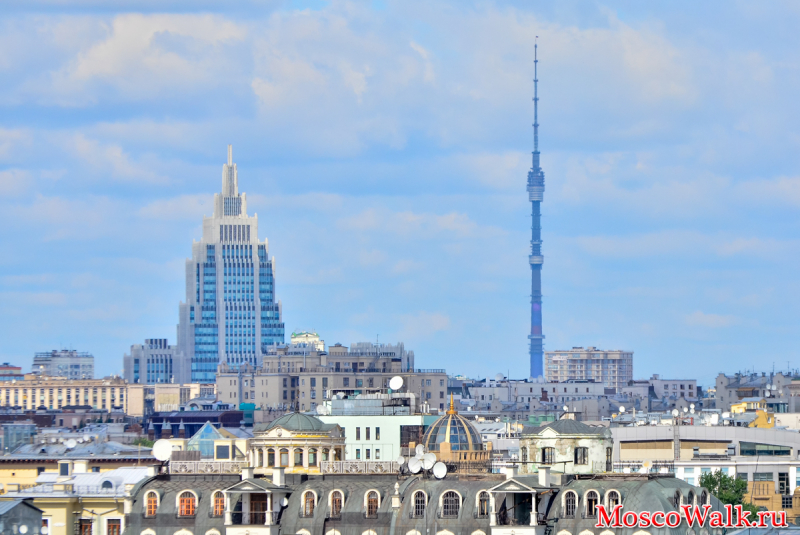 храм христа спасителя прогулка. Смотреть фото храм христа спасителя прогулка. Смотреть картинку храм христа спасителя прогулка. Картинка про храм христа спасителя прогулка. Фото храм христа спасителя прогулка