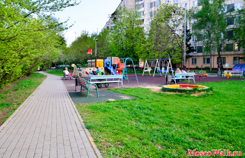 Ивановское место для прогулок с детьми