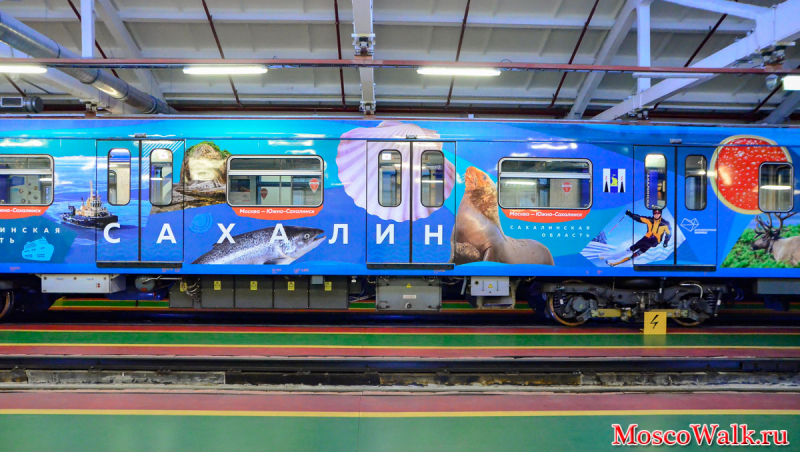 вагоны поезда Дальневосточный экспресс