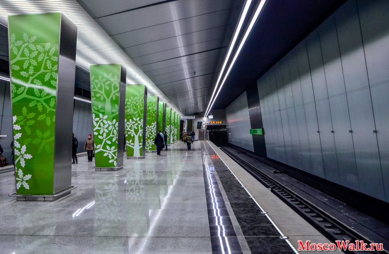 Станция метро Раменки
