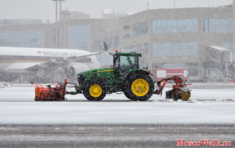 снег в аэропорту Домодедово