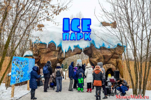 ICE park в парке Сказка