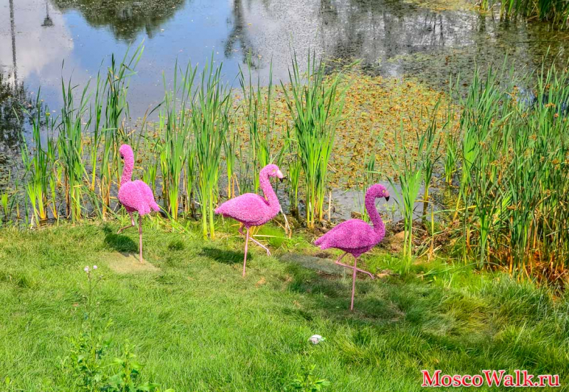 розовые фламинго Братеевский парк