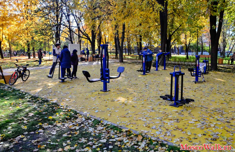 спортивные тренажеры в парке имени Федорова