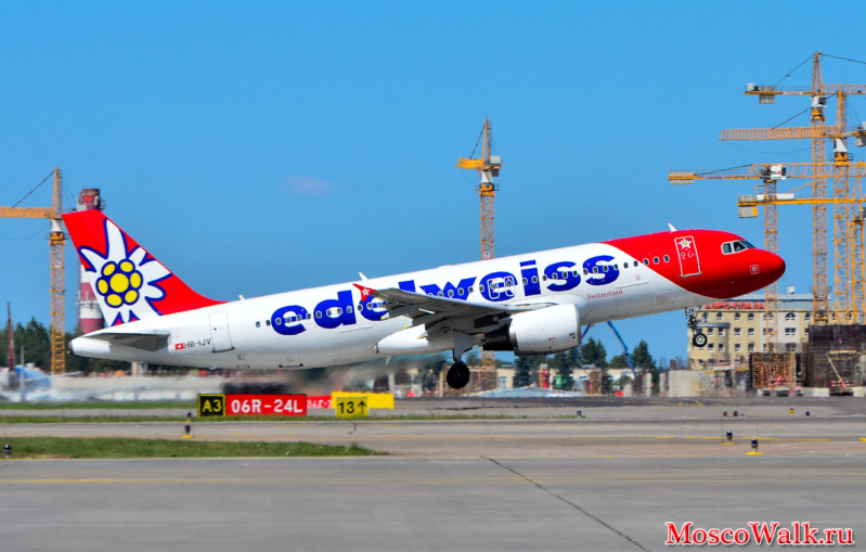 Edelweiss Air в Шереметьево