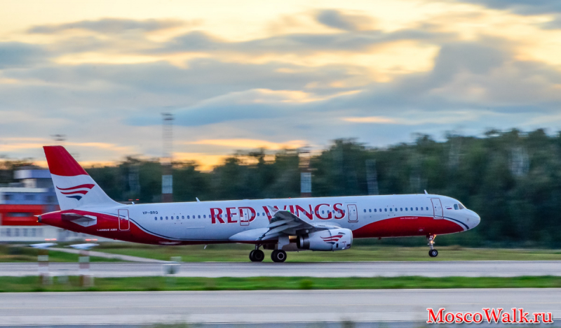 A321 Red Wings 