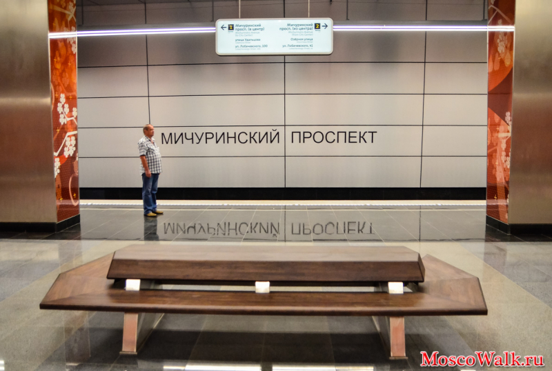 Мичуринский проспект московское метро
