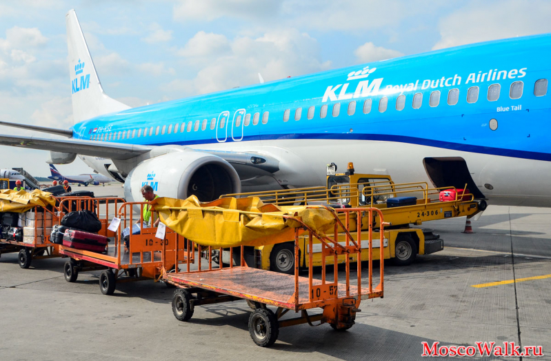 KLM выгрузка багажа