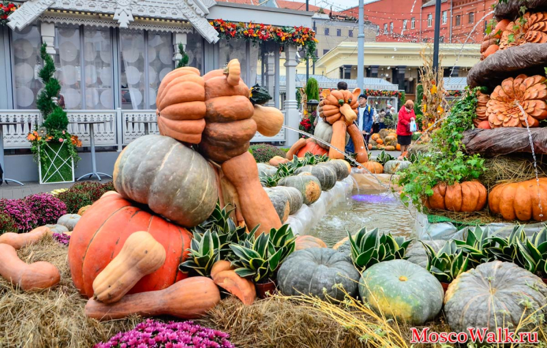 площадки фестиваля Золотая осень в Москве