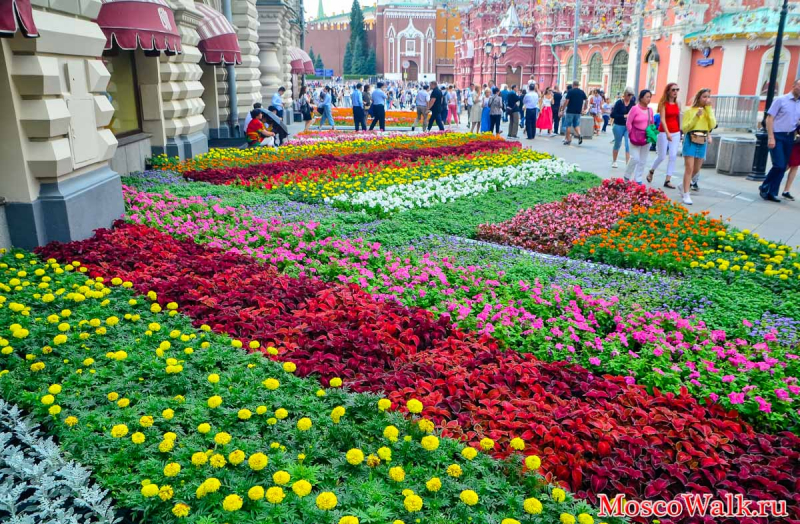 ГУМ фестиваль цветов