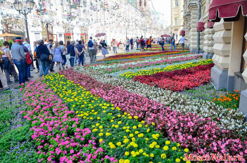 ГУМ цветы фестиваль
