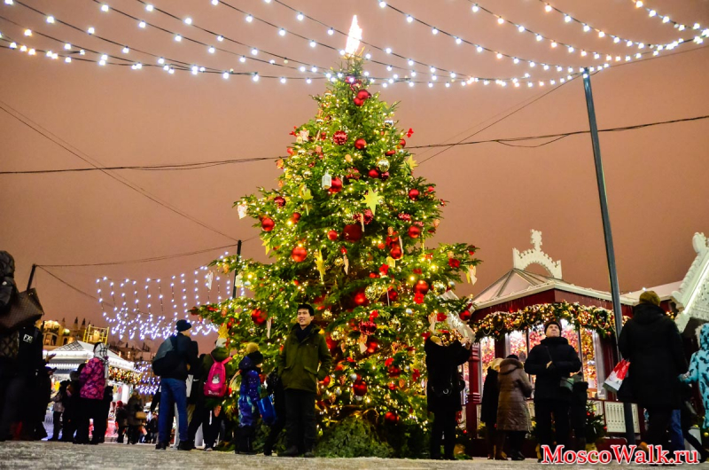 новогодняя елка на Площади Революции