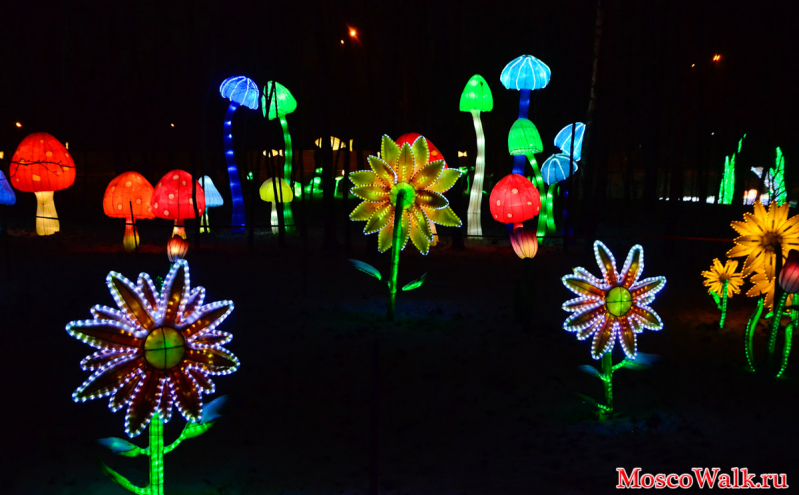 фото Фестиваль Волшебных китайских фонарей