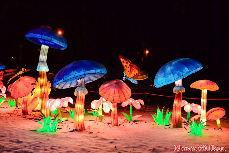 Фестиваль Волшебных китайских фонарей в Сокольники