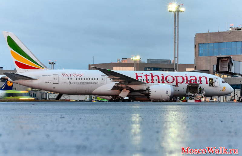 Ethiopian Spotting в DME
