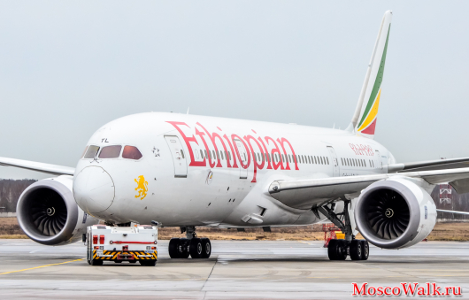 Авиакомпания Ethiopian Airlines презентовала в Домодедово новый Boeing 787 Dreamliner