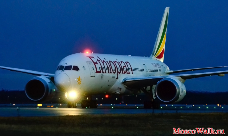 Ethiopian Airlines в аэропорту Домодедово