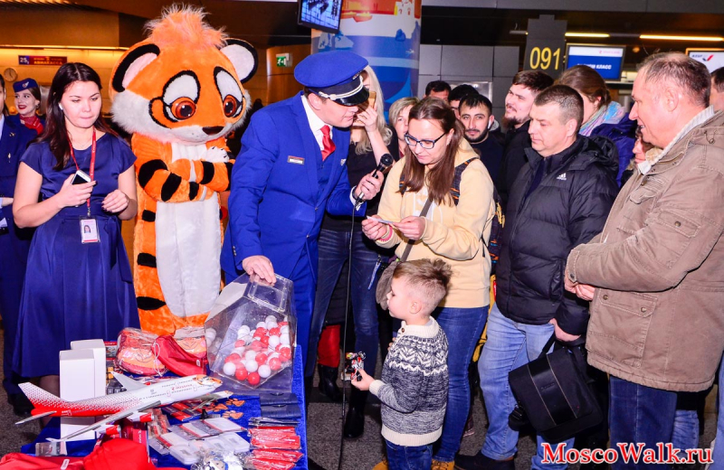 Международный аэропорт Внуково, авиакомпания «Россия» и АНО «Центр «Амурский тигр» вместе с пассажирами отметили трехлетие совместного природоохранного проекта — воздушного судна «Тигролёт»