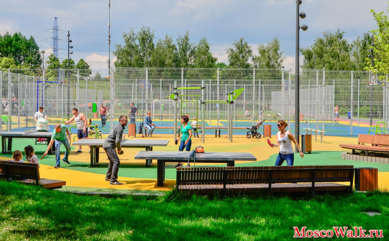 настольные теннис в парке Битца